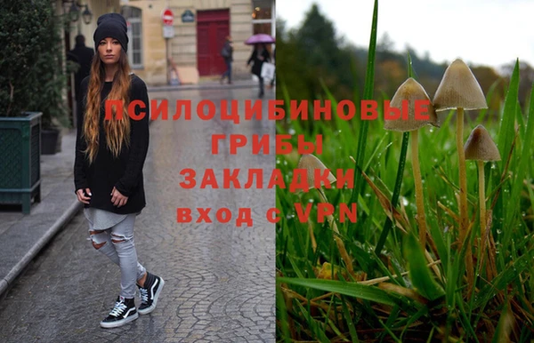мяу мяу мука Абинск