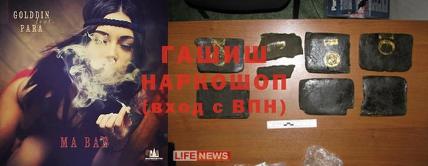 крисы Абаза