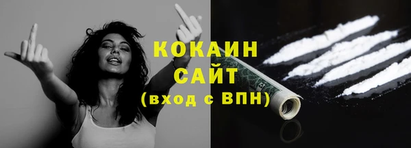 крисы Абаза