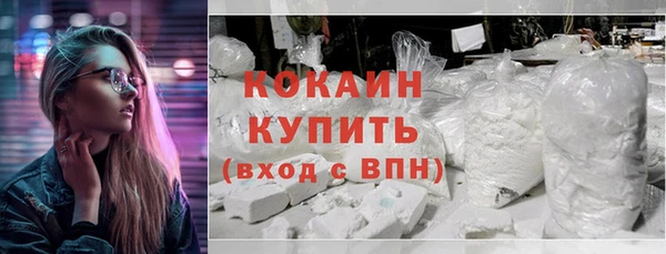 крисы Абаза